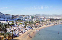 الجيزة